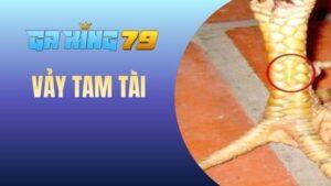 Vảy Tam Tài