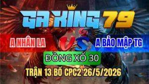 TRẬN 13 BỒ CPC2 26/5/2026 - ĐIỀU SIẾT 1 TAY NƯỚC CAMELO NẰM LIỆT DƯỚI CHÂN