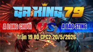 Trận 19 Bồ CPC2 20/5/2026 - Long Chuối Không Phục Idol Bảo Sting Và Cái Kết