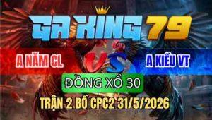 TRẬN 2 BỒ CPC2 31/5/2026 - XANH ĐÂM TOÀN MU LƯNG ĐỎ GÃY CHÂN NẰM 1 ĐỐNG