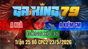 Trận 25 Bồ CPC2 23/5/2026 - Gà Idol Kiểm CM Đâm Như Cái Máy Buông Đuôi Lụm Tiền