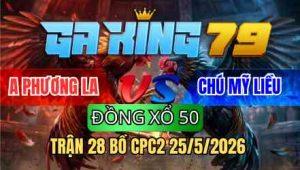 TRẬN 28 BỒ CPC2 25/5/2026 - CÚ CHUỐI ĐÁ ĐÂM QUÁ TỊCH 1 TAY NƯỚC ÚA ÓI CHẾT