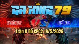 Trận 8 Bồ CPC2 19/5/2026 - Bướm Buông Đuôi Đá 1 Tăng Còn Ăn 2 Rồi La Miệng Bỏ Chạy