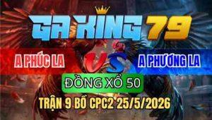 TRẬN 9 BỒ CPC2 25/5/2025 - CHUỐI BUÔNG ĐUÔI LỤM TIỀN NHANH LẸ