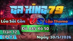 Trận 12 CPC3 Ngày 30/5/2026 - Gà Phèn Nết Giấu Cựa Gà Điều Lọt Chết Không Hay