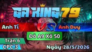 Trận 6 CPC3 Ngày 28/5/2026 - 2 Con Lọt Tim Gồng Gánh Vô Kiến Hòa