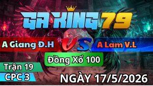 Trận 19 CPC3 Ngày 17/05/2026 - Điều dâu gặp mồng trích bích cửa ra
