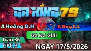 Trận 36 CPC3 Ngày 17/05/2026 - Xám đâm quá bướm vô không đường ra