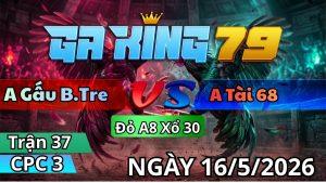 Trận 37 CPC3 Ngày 16/05/2026 - Điều vô ngáo gà bướm vũ mấy cước ra đi
