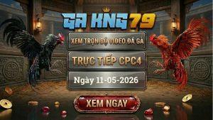 Xem Full Video Đá Gà CPC4 Ngày 11/05/2026