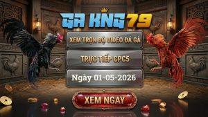 Xem Full Video Đá Gà CPC5 Ngày 01/05/2026