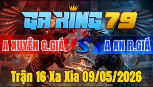 Trận 16 Xa Xia 09/05/2026 - Khét buôn đuôi lùa lớp 1 úa hết đường cứu