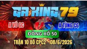 TRẬN 10 BỒ CPC2 08/6/2026 - BƯỚM NHẬP VÀO ĐÁ TOÀN LƯNG CÚ HƯ HÌNH NẰM 1 ĐỐNG