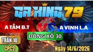 Trận 10 CPC2 Ngày 14/6/2026 – ANH TÂM BẾN TRE VS ANH VINH LONG AN