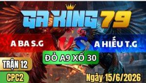 Trận 12 CPC2 Ngày 15/6/2026 – ANH BA SÀI GÒN VS ANH HIẾU TIỀN GIANG