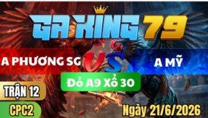 Trận 12 CPC2 Ngày 21/6/2026 – A Phương Sài Gòn VS A Mỹ