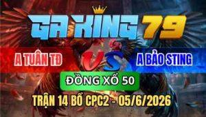 TRẬN 14 BỒ CPC2 05/6/2026 - BÔNG NHẬP VÀO ĐÁ ĐÚNG 1 CHÂN VÀO ĐẦU ĐIỀU NẰM TẠI CHỖ