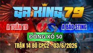TRẬN 14 BỒ CPC2 03/6/2026 - BƯỚM CHẤP NGÔNG ĐIỀU ĐÁ 2 TAY NƯỚC BƯỚM ĐỨNG HÌNH
