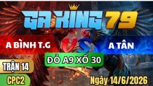 Trận 14 CPC2 Ngày 14/6/2026 – ANH BÌNH TG VS ANH TÂN