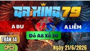Trận 14 CPC2 Ngày 21/6/2026 – A Bu VS A Liêm