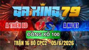 TRẬN 16 BỒ CPC2 05/6/2026 - VÀNG CHƯA THẢ PHÓNG ĂN 7 BƯỚM ĐÁ 2 CHÂN LÌA GIÒ