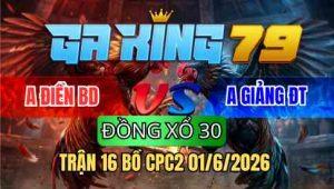 TRẬN 16 BỒ CPC2 01/6/2026 - ÚA ĐÂM MU LƯNG QUÁ TỊCH VÀNG ÓI CHẾT CHỈ VÀI CHÂN