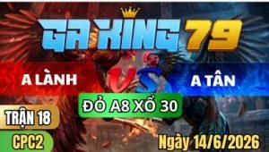 Trận 18 CPC2 Ngày 14/6/2026 – ANH LÀNH VS ANH TÂN