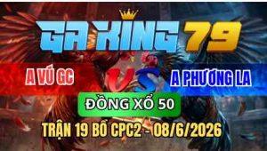 TRẬN 19 BỒ CPC2 08/6/2026 - VÀNG CHƯA THẢ PHÓNG ĂN 6 VÀ CÁI KẾT