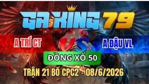 TRẬN 21 BỒ CPC2 08/6/2026 - ĐIỀU CHỤP DÍNH ĐÁ CHÂN QUÁ TỊCH VỀ TIỀN
