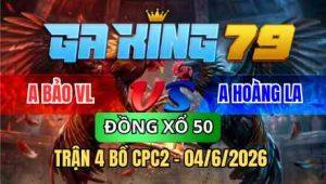 TRẬN 4 BỒ CPC2 04/6/2026 - ĐỎ CHƯA THẢ PHÓNG ĂN 6 BUÔNG ĐUÔI XANH ĐÁ CHẾT NHANH LẸ