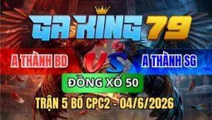 TRẬN 5 BỒ CPC2 04/6/2026 - 2 CON ĐÁ QUÁ HAY BƯỚM MAY MẮN VỀ TIỀN