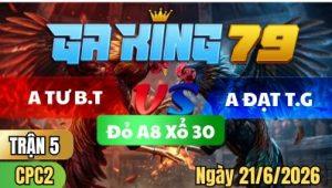 Trận 5 CPC2 Ngày 21/6/2026 – A Tư Bến Tre VS A Đạt Tiền Giang