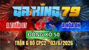 TRẬN 6 BỒ CPC2 03/6/2026 - ĐỎ CHƯA THẢ PHÓNG ĂN 6 BUÔNG ĐUÔI XANH ĐÁ GÃY CHÂN