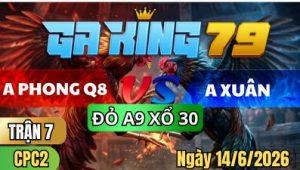 Trận 7 CPC2 Ngày 14/6/2026 – ANH PHONG Q8 VS ANH XUÂN