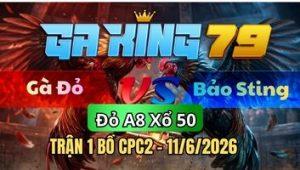 Trận 1 CPC2 Ngày 11/6/2026 - Bướm hiệu gồng tan trả lại điều bay bồ la miệng