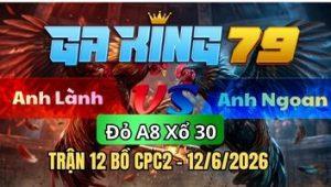 Trận 12 CPC2 Ngày 12/6/2026 - Xám chuối đem hấp muối sau tay nước đầu