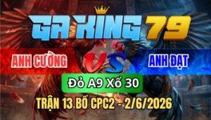 Trận 13 CPC2 Ngày 02/6/2026 - Gà Điều Ra Sân Bị Đá Như Con Vô Kiến Cứng Mình Chạy