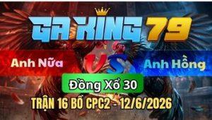 Trận 16 CPC2 Ngày 12/6/2026 - Xám hên chân nhét được cây về bờ thành công