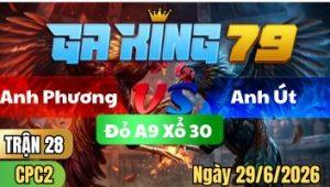 Trận 28 CPC2 Ngày 29/6/2026 - Gà que tới nước bướm đá lễ nhẹ củng ăn