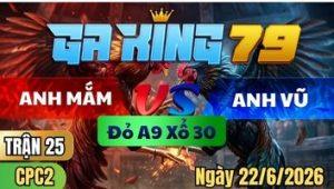 Trận 25 CPC2 Ngày 22/6/2026 - Bông đá cây nghiệt quá điều vô liệt chân