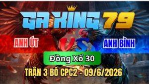 Trận 3 CPC2 Ngày 9/6/2026 - Gà xám bay nạp bị đạp cây té nằm đóng