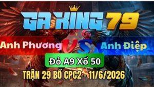 Trận 29 CPC2 Ngày 11/6/2026 - Khét chậm mà đâm que mỏng quá vô mấy chân sì gà