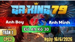 Trận 1 CPC2 Ngày 16/6/2026 - Bướm lá vô trong lễ quá lễ chân nào củng cựa