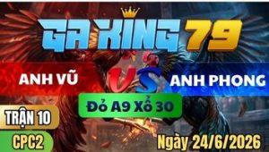 Trận 10 CPC2 Ngày 24/6/2026 - Bướm nết giạt tạt lại cây khét nằm dạ