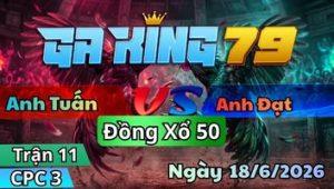 Trận 11 CPC3 Ngày 18/6/2026 - Camelo vô dính mấy chân đem ra náu cháo gà