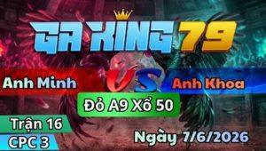 Trận 16 CPC3 Ngày 7/6/2026 - Đỏ Dầy Quá Gà Điều Vô Đá Không Hết Gà Nổi
