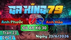 Trận 23 CPC3 Ngày 23/6/2026 - Gà điều tránh né đá cây lưng ăn tiền liền