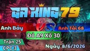 Trận 25 CPC3 Ngày 8/6/2026 - Chỉ Tay Nước Đầu Cú Bông Nạp Điều Hư Hình