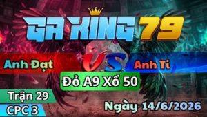 Trận 29 CPC3 Ngày 14/6/2026 - Trận gà dẫn tan qua lại rớt trứng dái ra