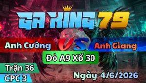Trận 36 CPC3 Ngày 4/6/2026 - Úa Ra Chế Mấy Cây Đầu Khét Phê Tang Khó Phản